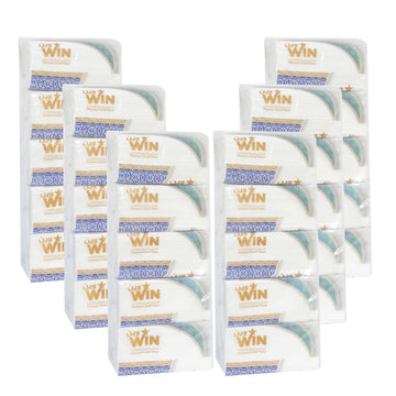 WIN SOFT FACIAL TISSUE NYLON PACK 600 SHEETS 2 PLY PACK OF 30